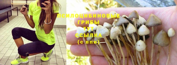 кристаллы Богородицк